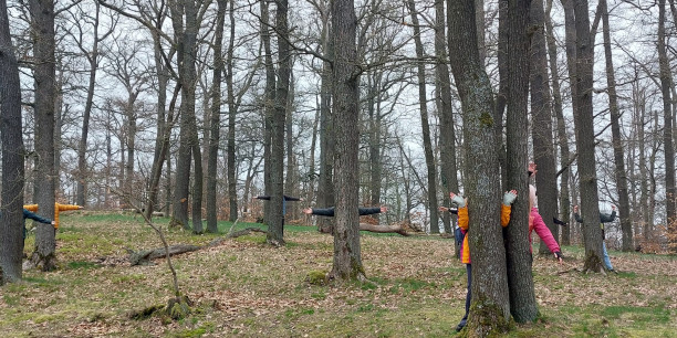 Was verbirgt sich denn alles im Wald? Foto: © Müller/EAT