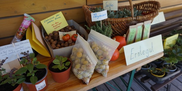 Bei der Pflanzentauschbörse gab es Zimmer- und Freilandpflanzen, Sämereien und Erntegut, die während des Tages die Besitzer:innen wechselten. Foto: © Zubarik/EAT