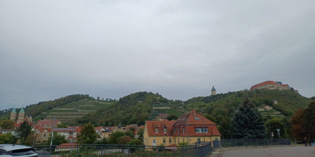 Die Region um Freyburg an der Saale-Unstrut ist geprägt vom Weinbau. Foto: (c) Robinson/EAT